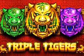 Triple Tigers
